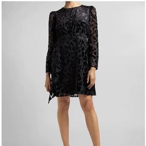 Leopard velvet dress from Express